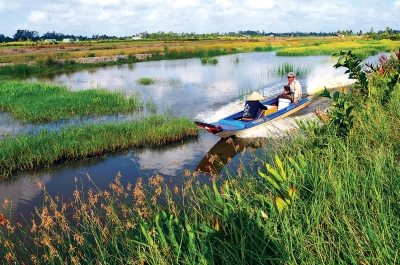 chuyen tom vào deo