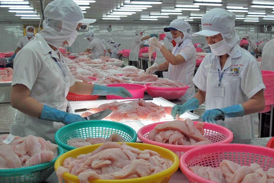 EU, China restrictions could cause Vietnam to miss $10bn seafood export goal