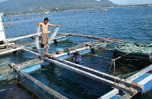 cá lồng