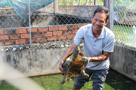 kiểm tra rùa