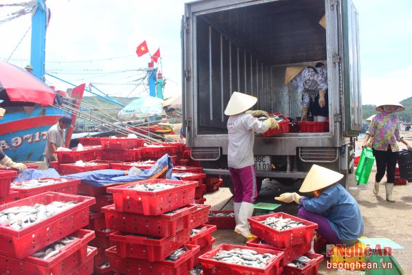 Biển làm giàu cho ngư dân