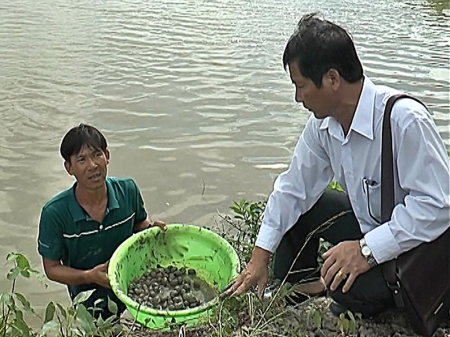 sò huyết