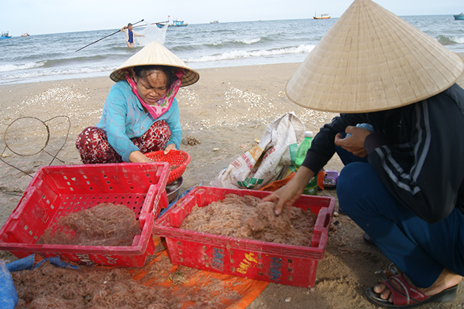 môi trường biển