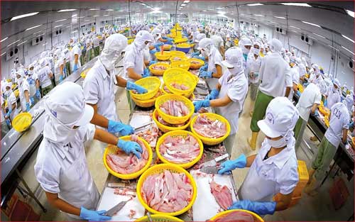 ngành cá tra Việt Nam