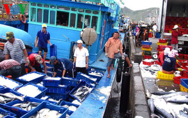 ngư dân vươn khơi