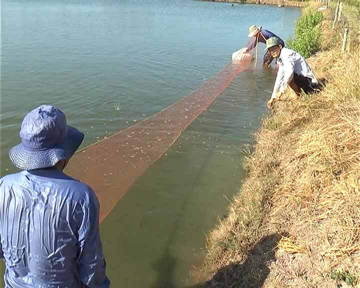 nong dan Dam Doi