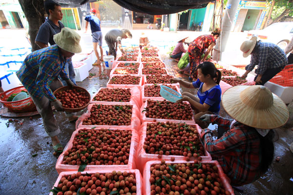 nông sản