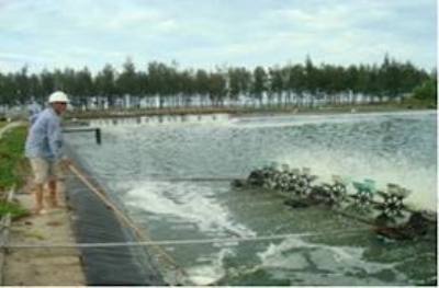 ngành chăn nuôi, sự kiện chăn nuôi