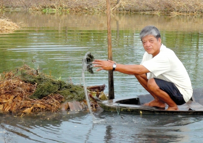 thảm thực vật