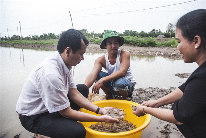 kiểm tra tôm