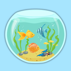 Cá Cảnh - Tép Cảnh