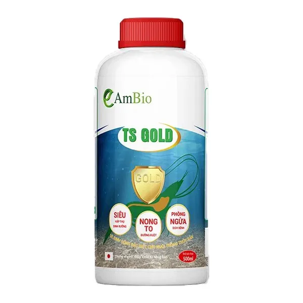 AMBIO TS GOLD