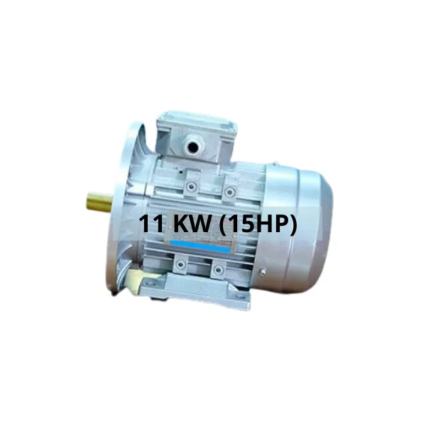 Motor 3 pha DLAE2-160M-4-11 kw