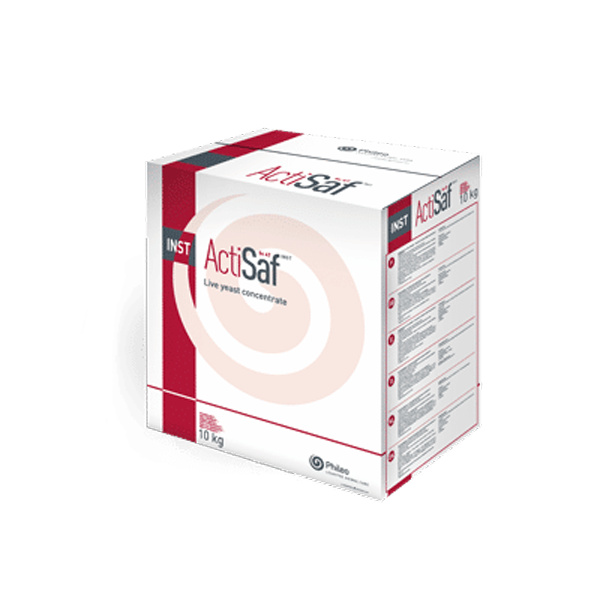 ACTISAF POWDER: nấm men đậm đặc, độc đáo dạng bột