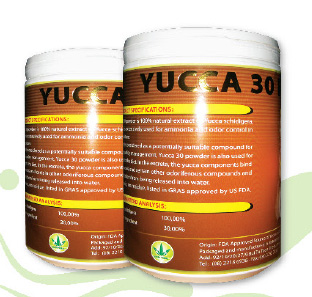 Yucca 30 Powder