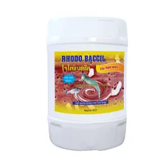 Sản phẩm RHODO BACCIL