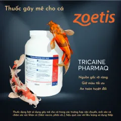 Sản phẩm TRICAINE PHARMAQ