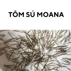 Sản phẩm Tôm Sú Moana