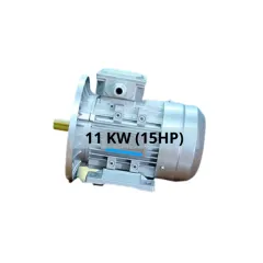 Sản phẩm Motor 3 pha DLAE2-160M-4-11 kw