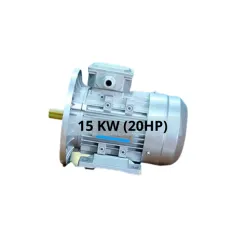 Sản phẩm Motor 3 pha DLAE2-160L-4-15 kw