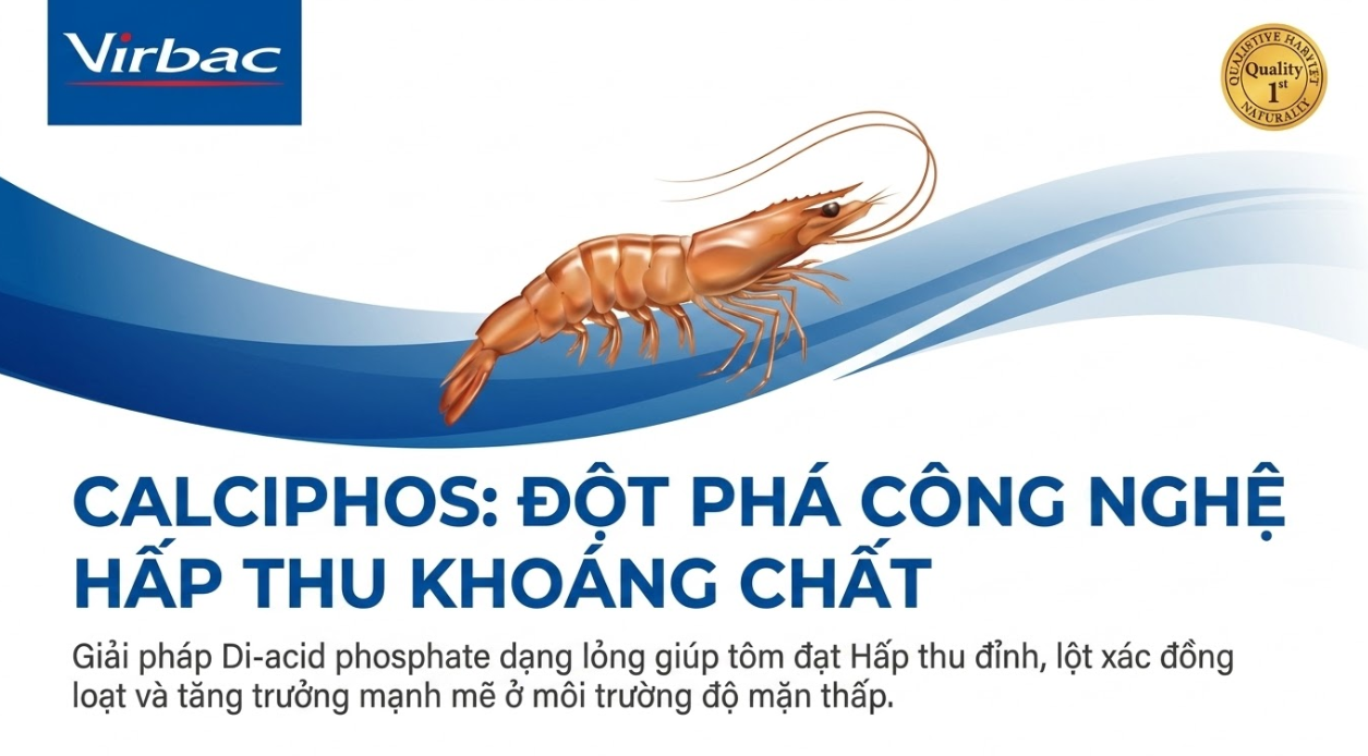 Tài liệu khoáng Calciphos