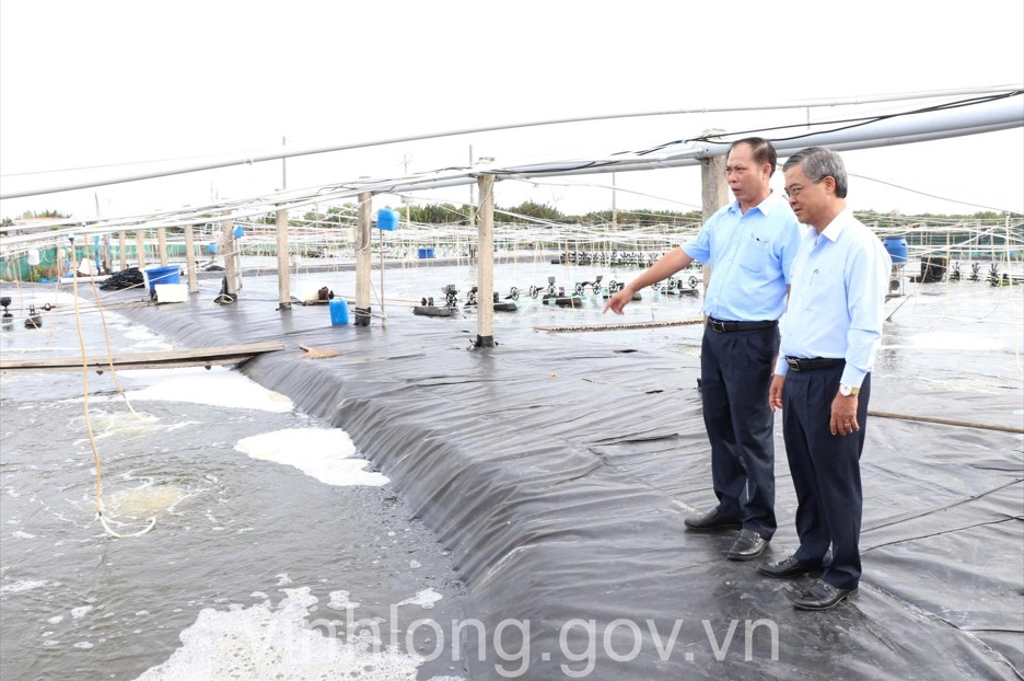 Vĩnh Long định hướng phát triển vùng nuôi thủy sản công nghệ cao