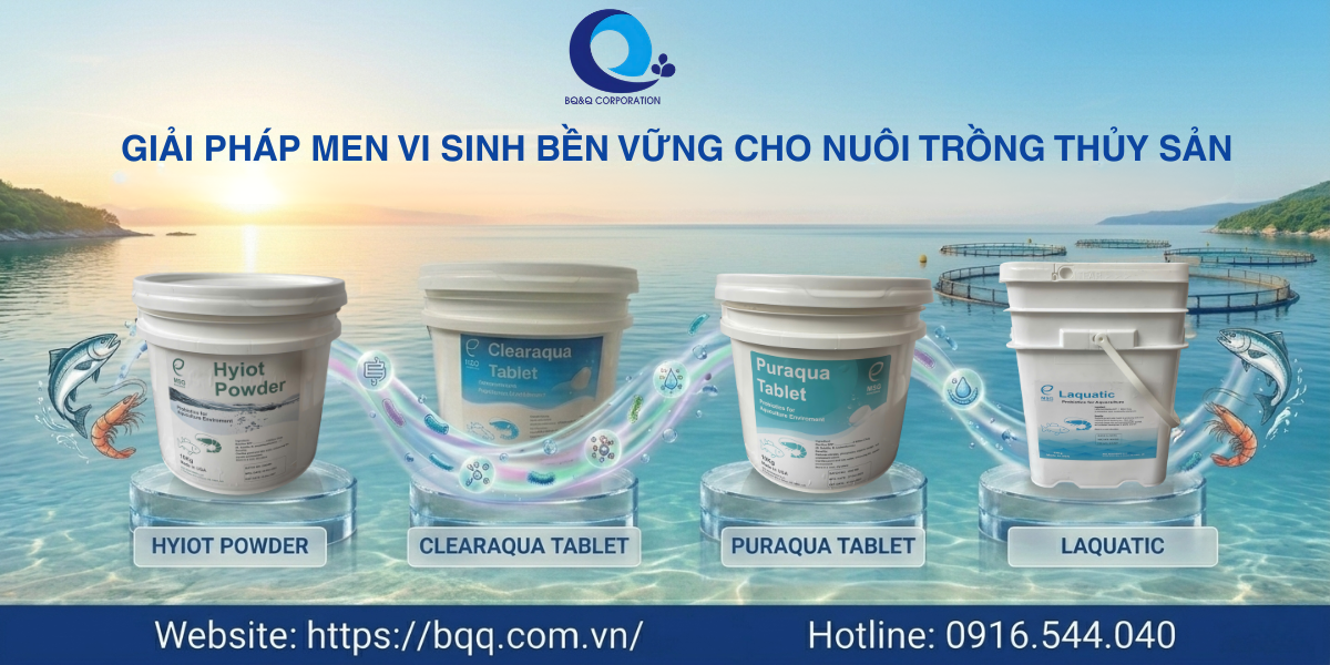 Giải pháp men vi sinh bền vững cho nuôi trồng thủy sản