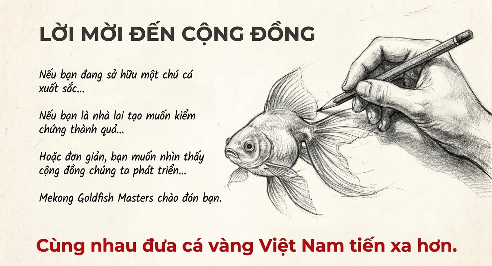 Mekong Goldfish Masters 2026: Sân chơi mới dành cho cộng đồng cá vàng Việt Nam