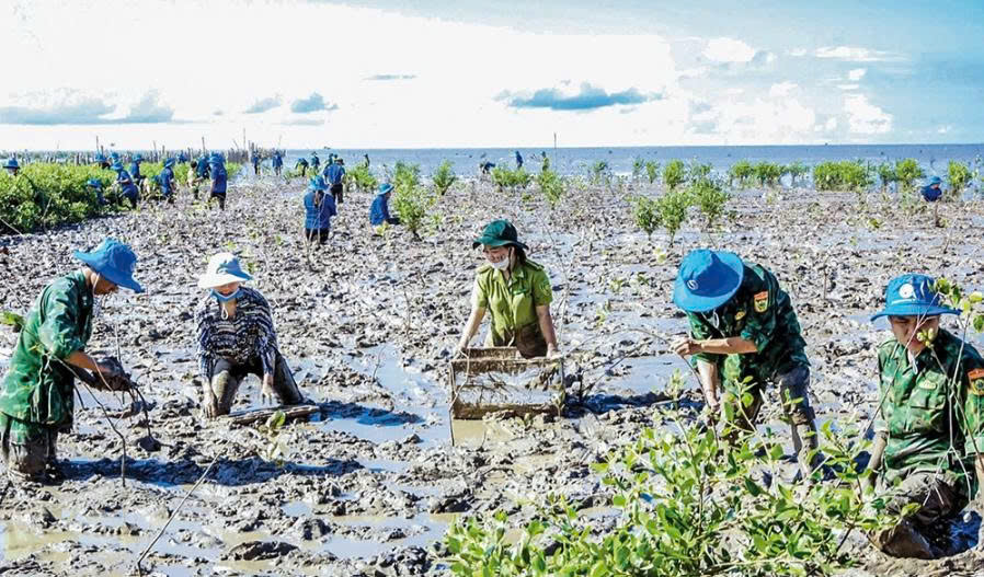 Tăng cường trồng cây xanh bảo vệ môi trường, chống sạt lở