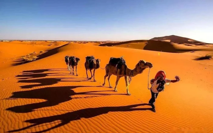 Kỹ thuật nuôi cá rô phi trên sa mạc Sahara