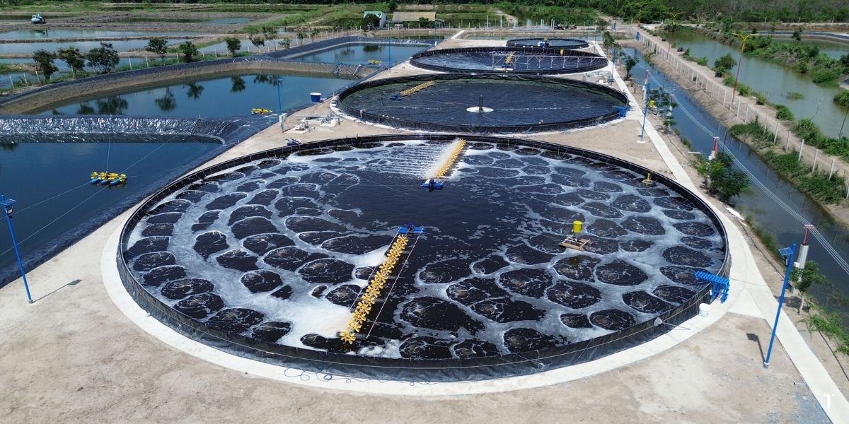 Chuyển đổi số trong mô hình VAC