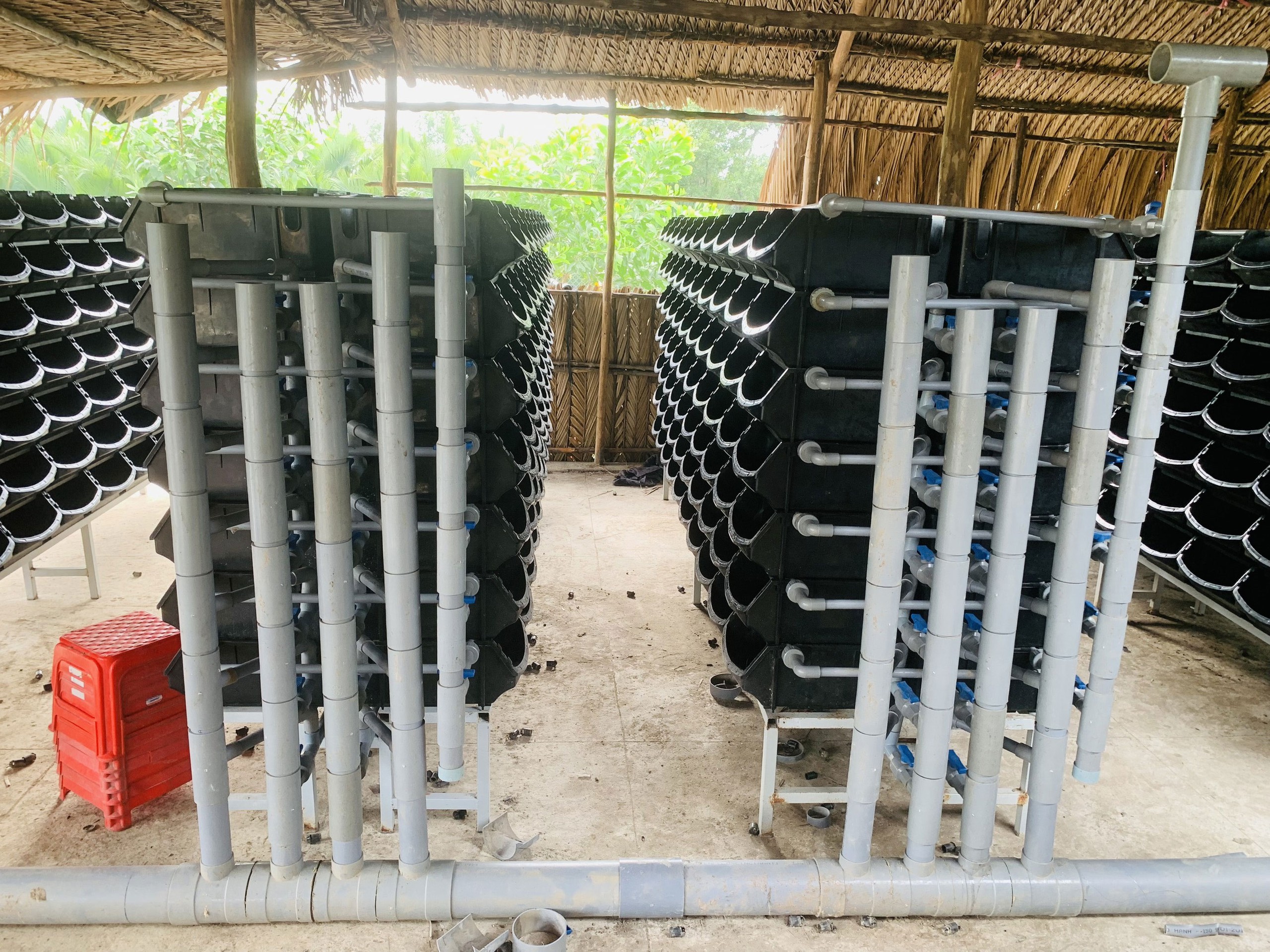 một mô hình nuôi cua trong hộp nhựa