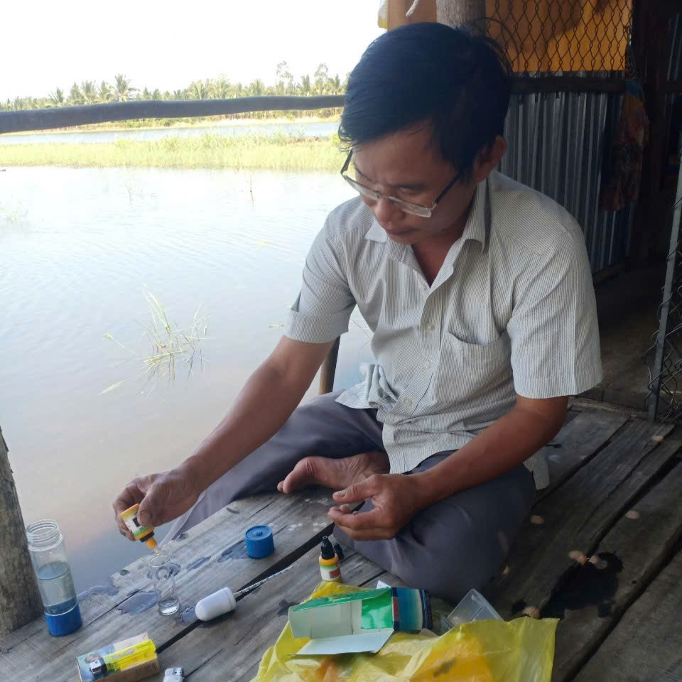 Một số lưu ý trong quản lý môi trường ao nuôi tôm vào mùa mưa