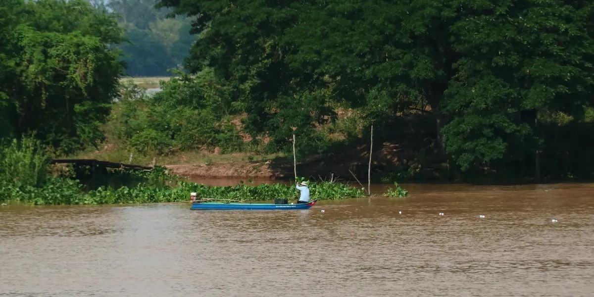 bắt cá trên sông Tiền