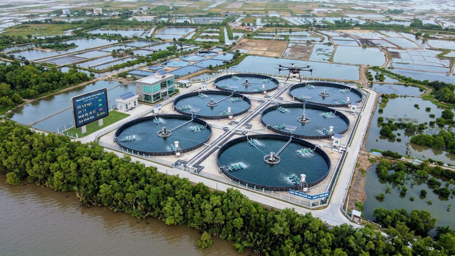 Dự báo tươi sáng ngành tôm giai đoạn 2026-2034