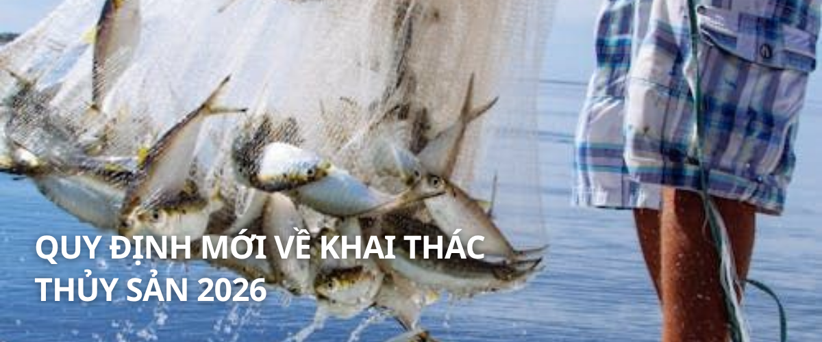 Ghi, nộp nhật ký, báo cáo khai thác thủy sản đối với tàu đánh bắt nguồn lợi thủy sản