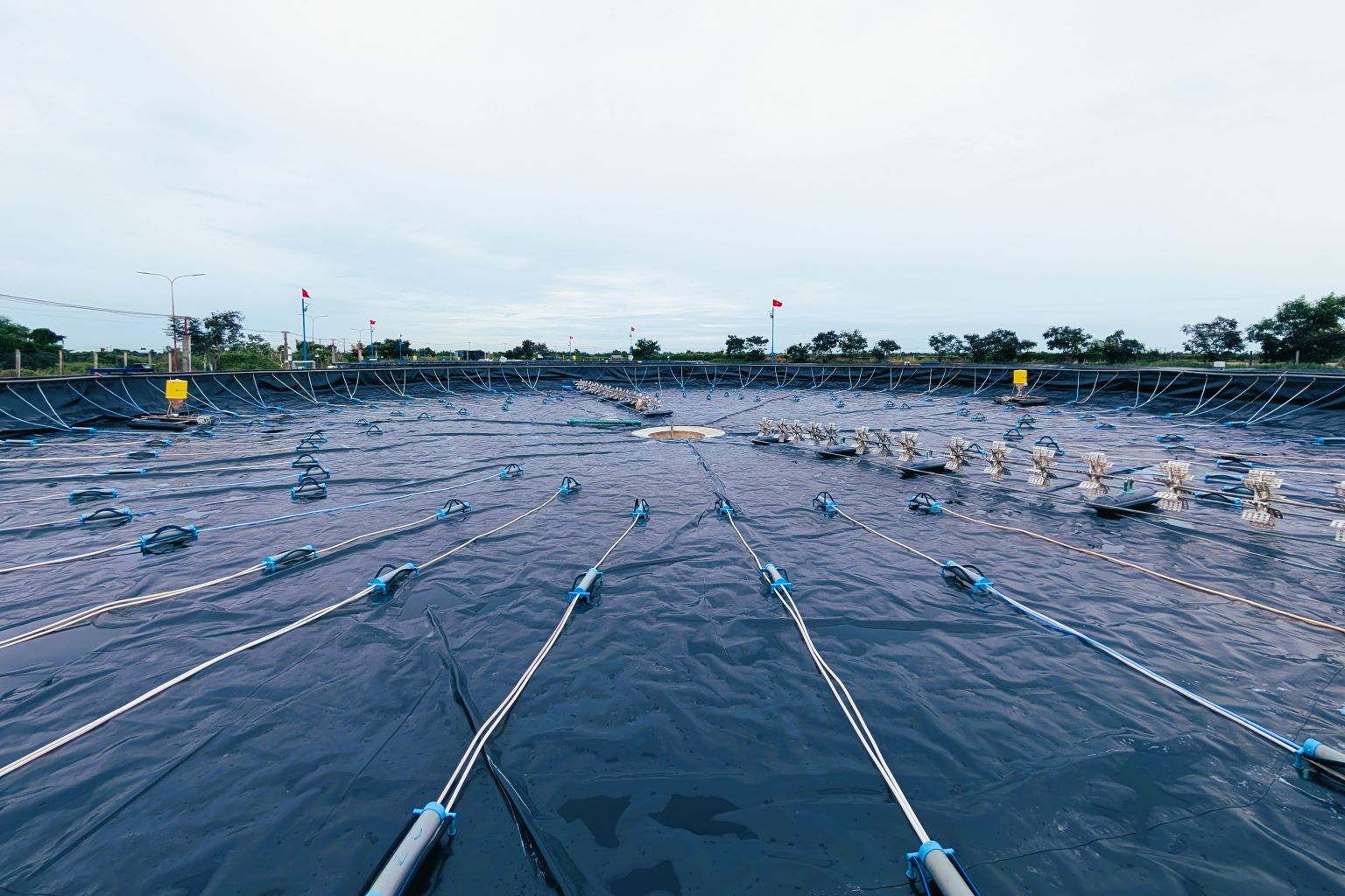 phơi ao bạt HDPE