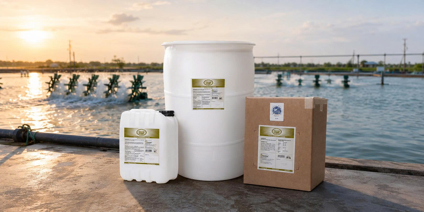 YUCCA STAR LIQUID & YUCCA STAR POWDER: Chiết Xuất 100% Yucca Thiên Nhiên – Thúc Đẩy Tăng Trưởng Và Nâng Cao Sức Đề Kháng Cho Nuôi Trồng Thủy Sản Bền Vững