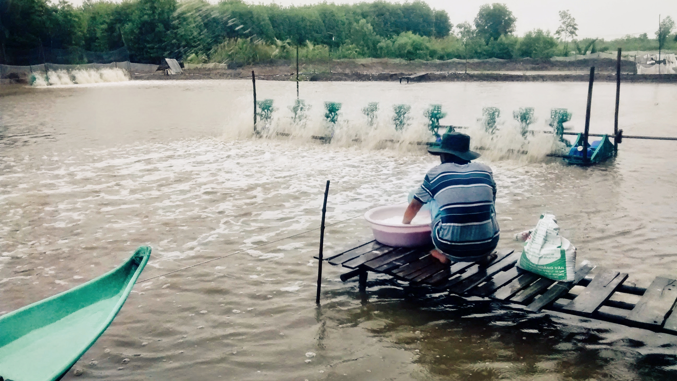 Người nông dân bên ao tôm