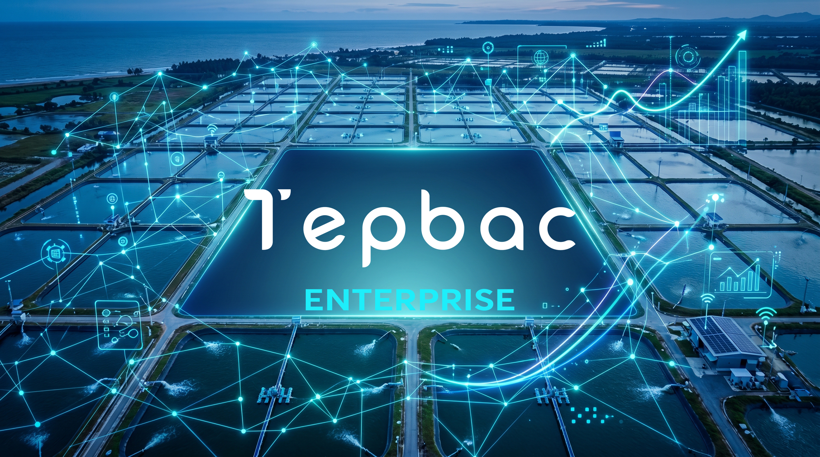 Tepbac Enterprise: Giải pháp toàn diện cho doanh nghiệp thủy sản trong kỷ nguyên số