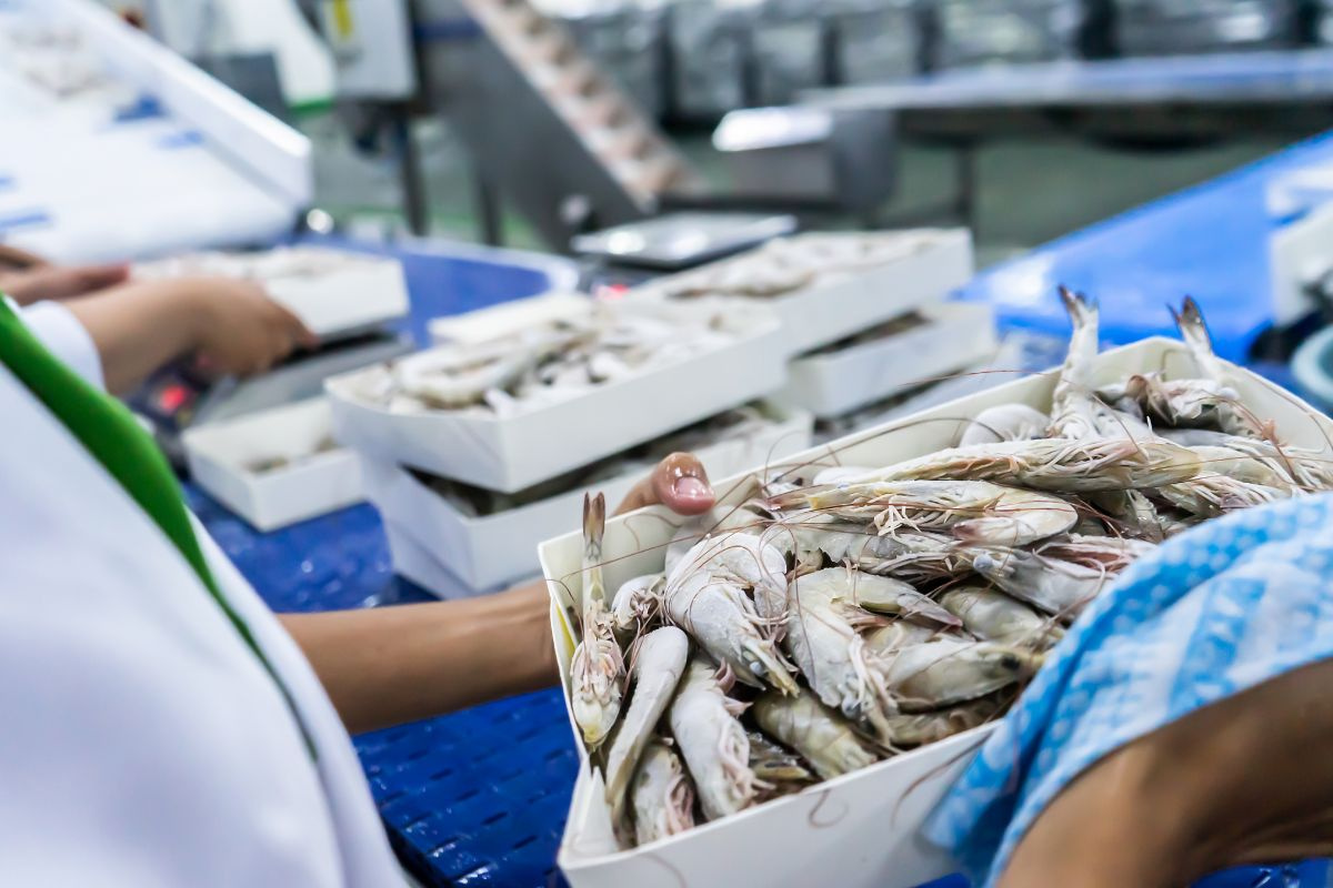 chế biến tôm xuất khẩu