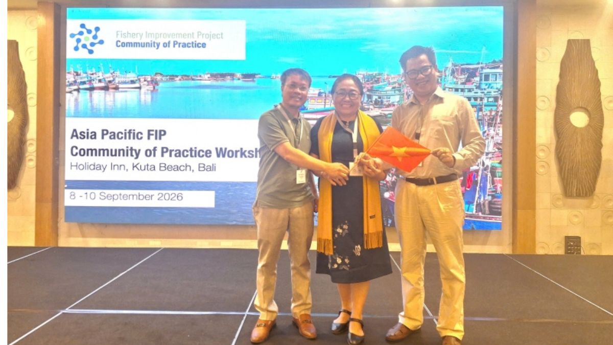 hội thảo FIP