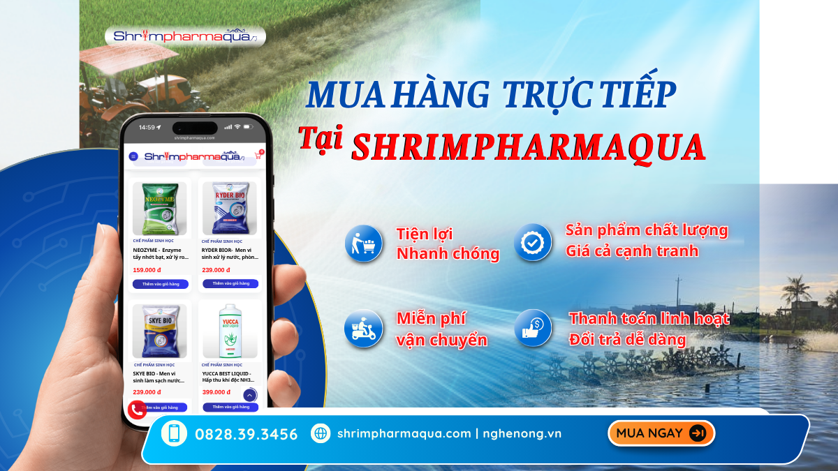 mua hàng thủy sản