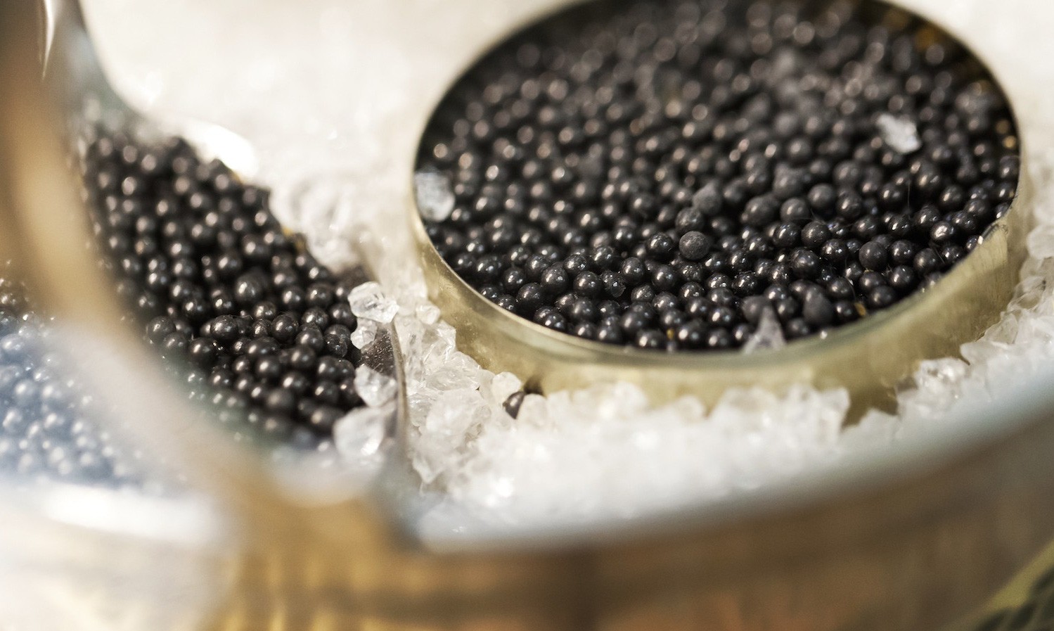Trứng cá tầm đen - Caviar