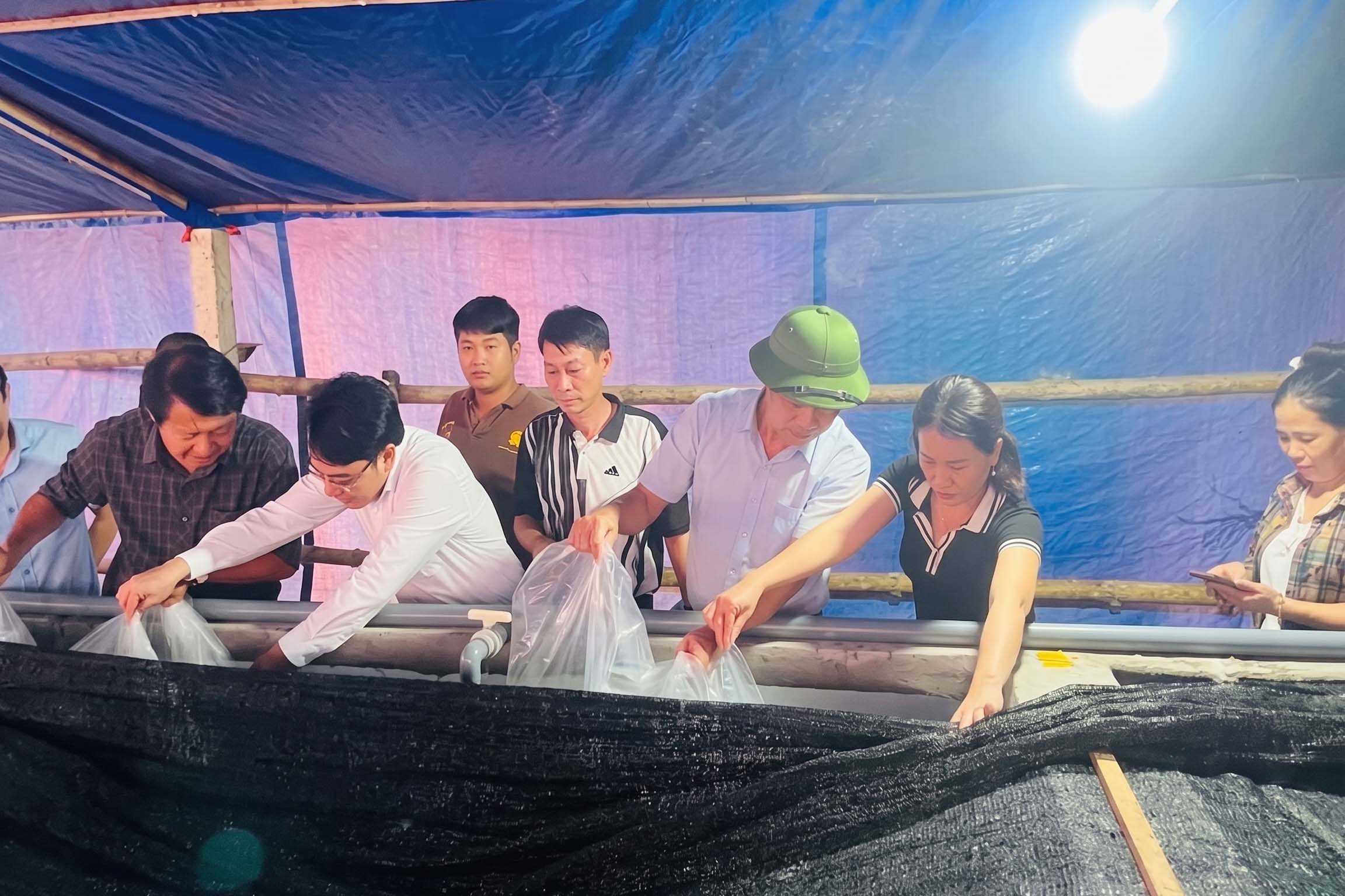 Kỳ vọng đột phá kinh tế từ mô hình nuôi cá chình công nghệ tuần hoàn