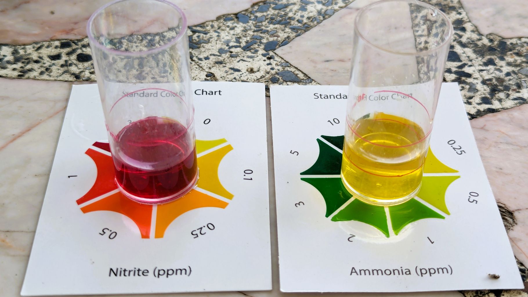 Test kit kiểm tra Ammonia trong nuôi trồng thủy sản