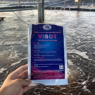 VIBOT - Ảnh 4