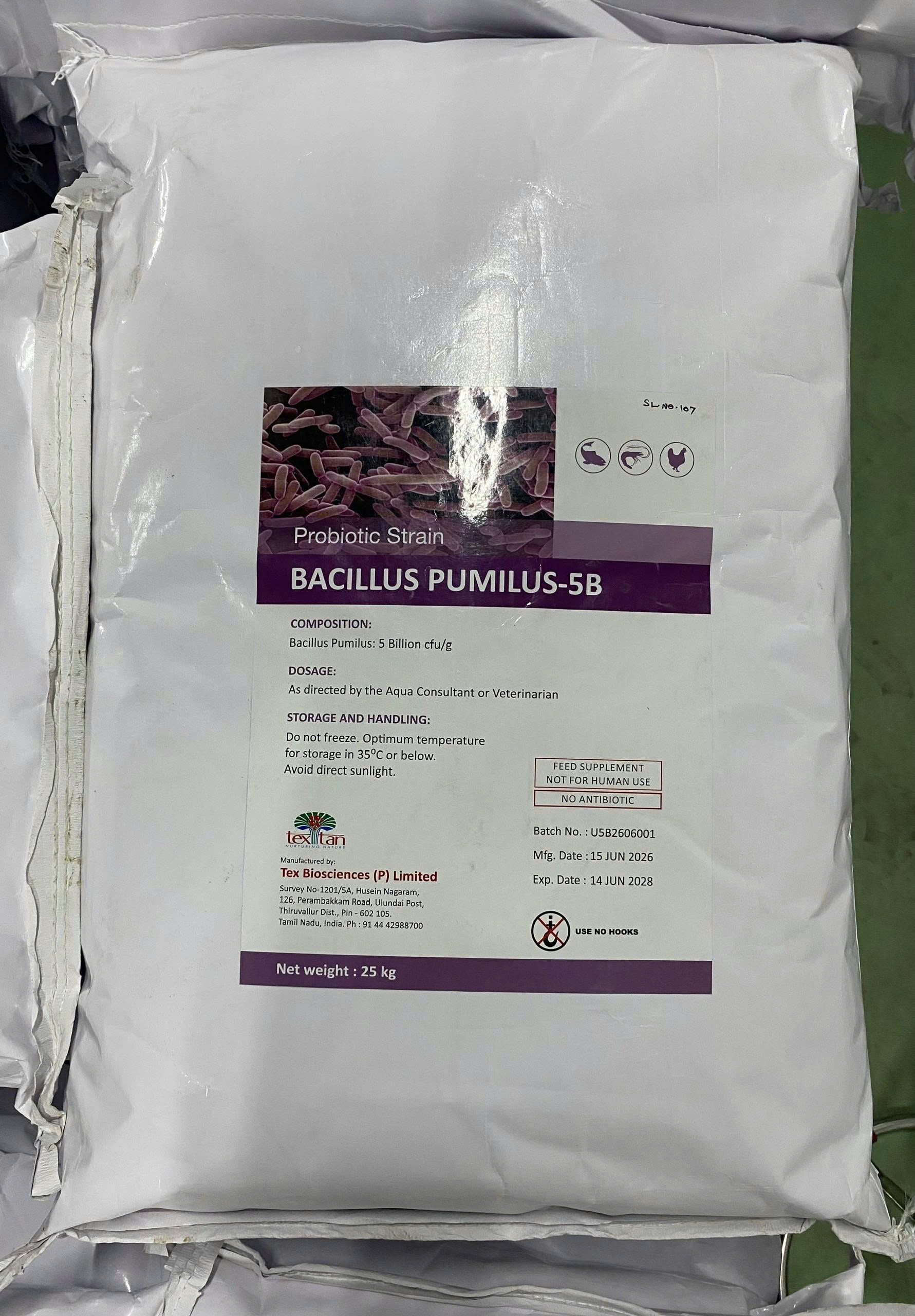 Vi sinh BACILLUS PUMILUS xử lí nước và cho ăn hỗ trợ đường ruột tôm cá