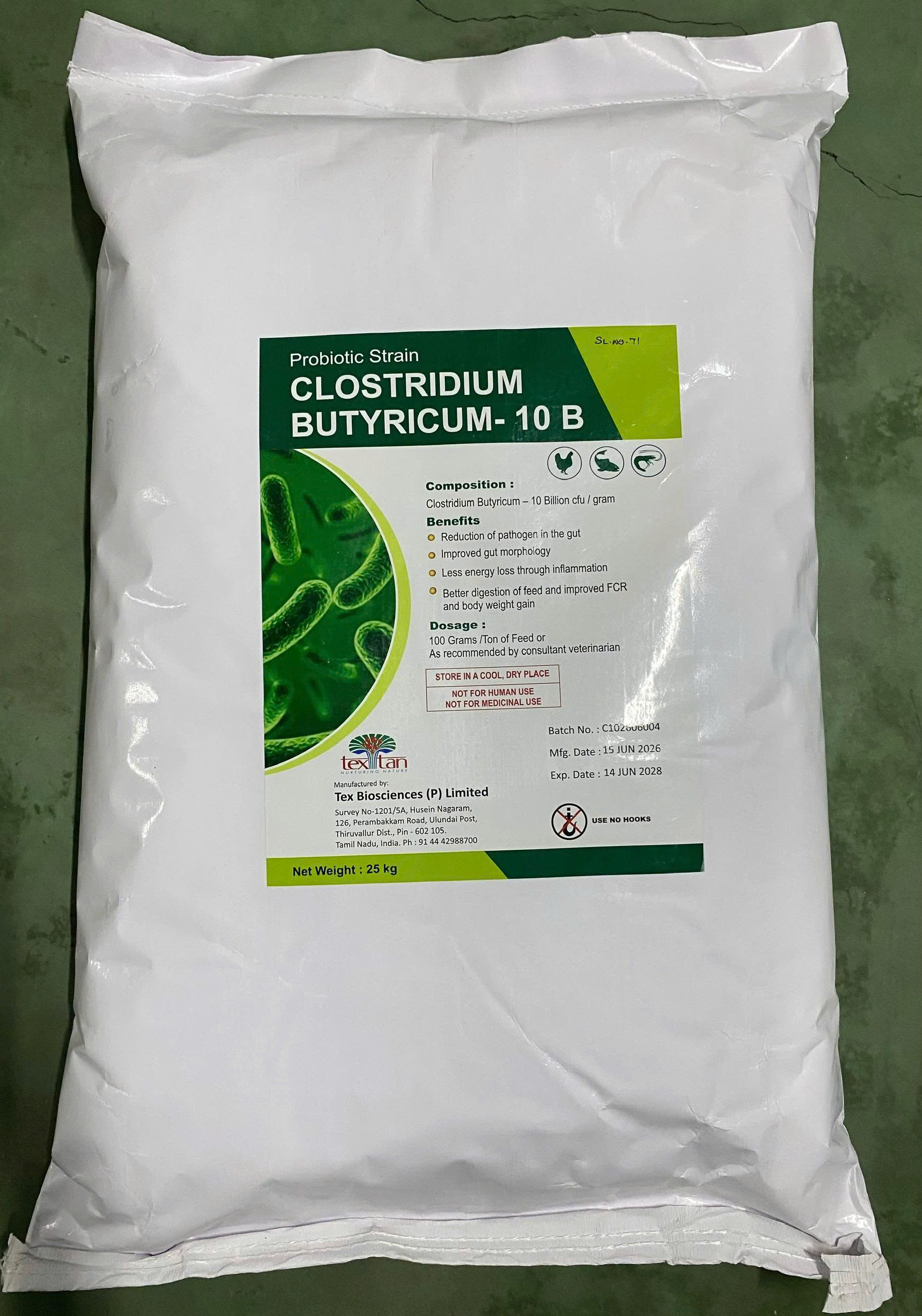 CLOSTRIDIUM BUTYRICUM - Ảnh 3