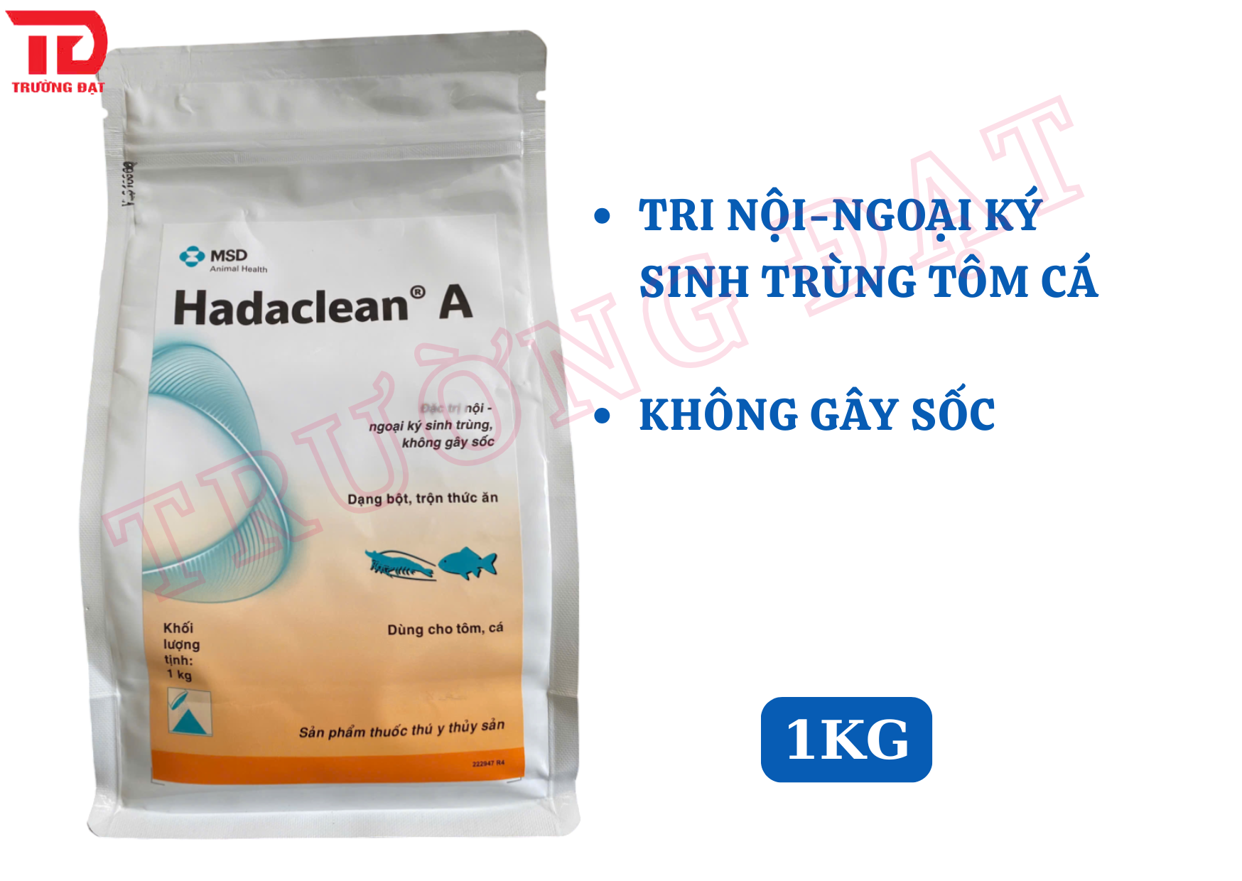 Hadaclean - Ảnh 6